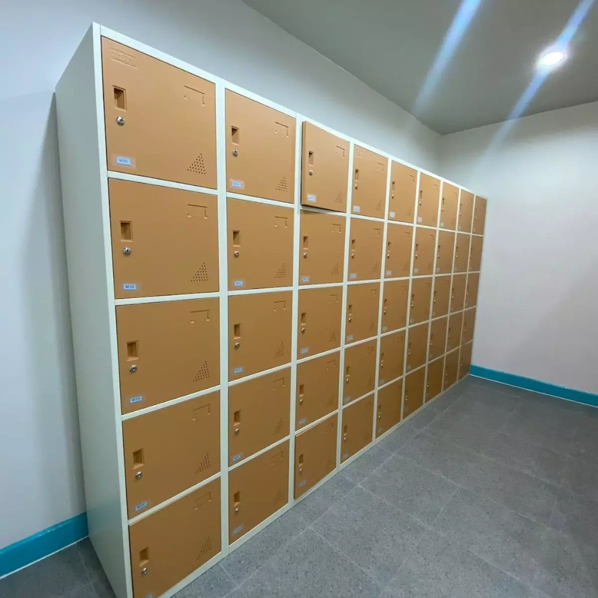 fit hub renon 28032148611
