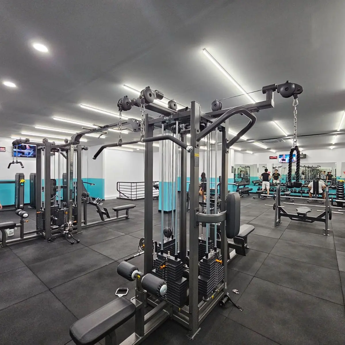 fit hub 29102701805